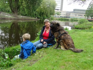 Afbeelding invoegen