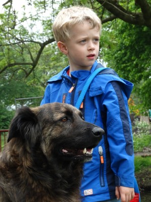 Afbeelding invoegen