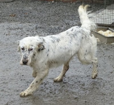Afbeelding invoegen