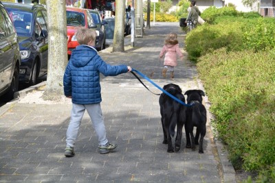 Afbeelding invoegen