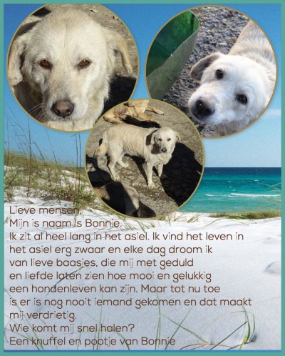 Afbeelding invoegen