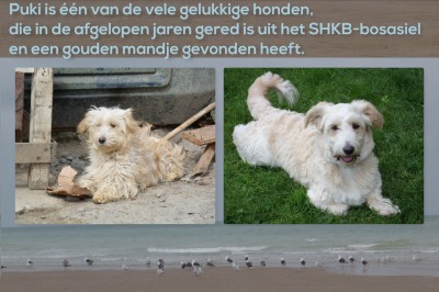 Afbeelding invoegen