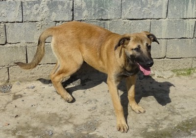 Afbeelding invoegen